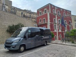 busaccabus 5